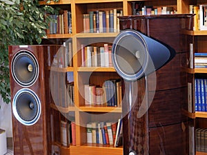 Audiophile HiFi speakers. The listening room in the library