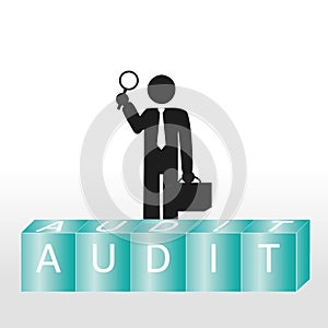 Audit