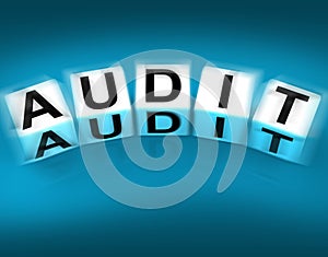 Audit Blocks Displays Investigation Examination and Scrutiny