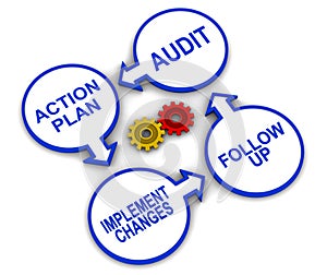 Audit cycle