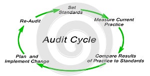 Audit cycle