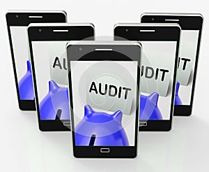 Audit Piggy Bank Shows Inspect Analyze And Verify