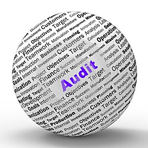 Audit Sphere Definition Means Financial Inspection