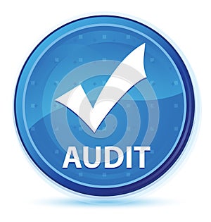 Audit (validate icon) midnight blue prime round button photo