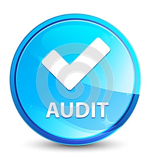 Audit (validate icon) splash natural blue round button photo
