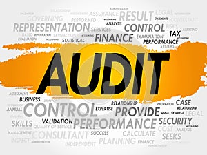 AUDIT word cloud