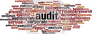 Audit word cloud