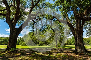 Audubon Park