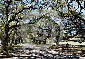 Audubon Park in New Orleans