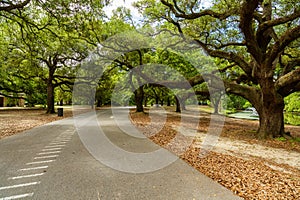 Audubon Park