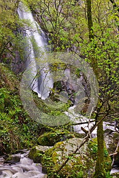 Auga Caida Waterfall, Ferreira de Panton, Lugo, Spain photo