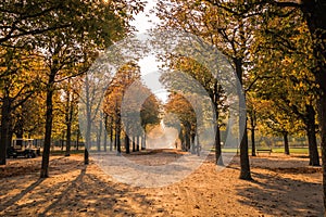 Augarten Park in Fall, Vienna, Austria