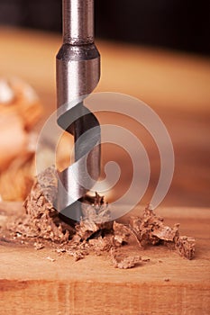 Auger bit drilling wood