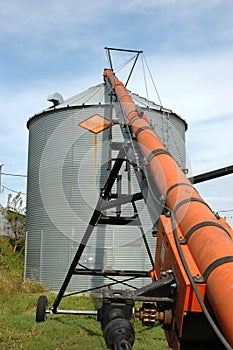 Auger and Grain Bin During Harvest