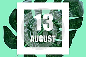 august 13th. Day 13 of month,Date text in white frame against tropical monstera leaf on green background summer month
