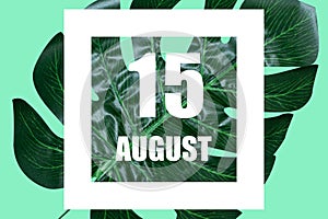 august 15th. Day 15 of month,Date text in white frame against tropical monstera leaf on green background summer month