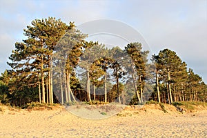 August 2022 - Darlowko, Poland - Beach in the evening