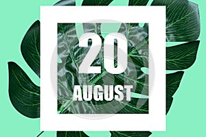 august 20th. Day 20 of month,Date text in white frame against tropical monstera leaf on green background summer month