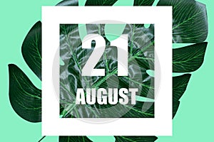 august 21st. Day 20 of month,Date text in white frame against tropical monstera leaf on green background summer month