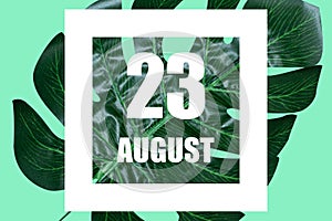 august 23rd. Day 23 of month,Date text in white frame against tropical monstera leaf on green background summer month