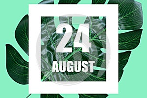 august 24th. Day 24 of month,Date text in white frame against tropical monstera leaf on green background summer month