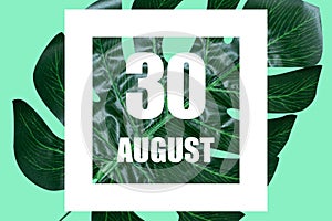 august 30th. Day 30 of month,Date text in white frame against tropical monstera leaf on green background summer month