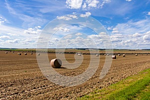 August at the Belarusian fields - grass have been removed