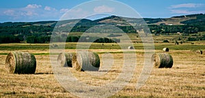 August country field with rolls of hay