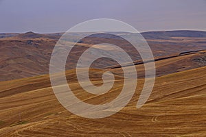 August landscape in the Shamakhi region of Azerbaijan.