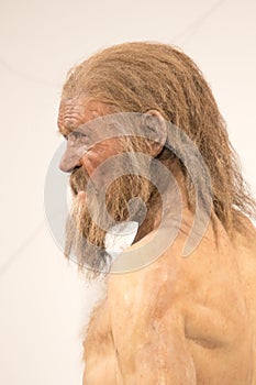 Life-scale reproduction of Iceman Ãâtzi at the archaeological museum of Bolzano, Italy