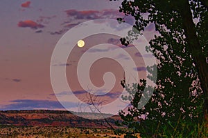 August Moon Over Black Ridge