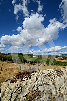 12 august 2017: stone wall and a beautiful vineyard on background with blue sky. Located near San Donato Village Florence