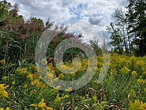 August in Wilmot Township photo