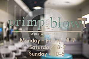 Primp and blow beauty salon sign logo on door