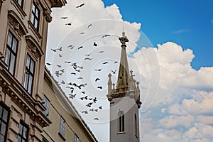 Augustinian church on Josefsplatz at Albertina in Vienna, Austria