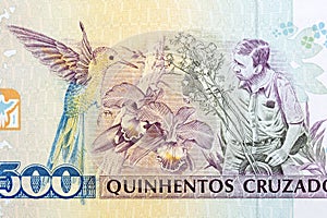 Augusto Ruschi a portrait from old Brazilien money photo