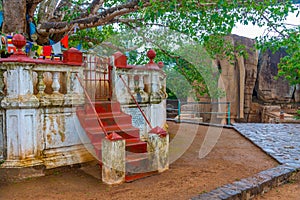 Aukana buddha statue in Sri Lanka