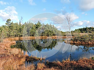 Aukstumalos swamp in autumn , Lithuania