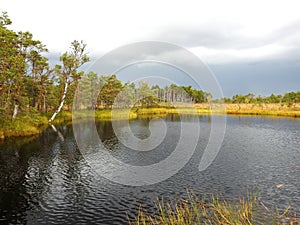 Aukstumalos swamp before rain, lithuania