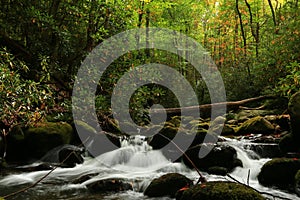 Autumn, Roaring Fork and the Great Smoky Mountain National Park