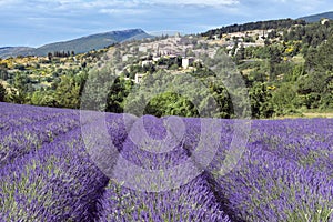 Aurel little village in south of France photo