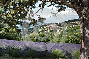 Aurel little village in south of France photo