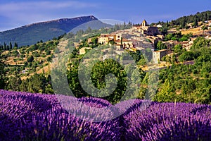 Aurel town and lavender fields in Provence, France photo
