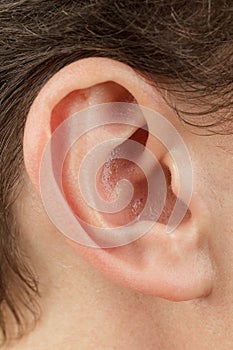 Auricle close-up, outer ear, human anatomy hearing aid, ear canal, tragus and antitumor, lobe, selective photo