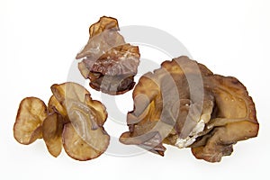 Auricularia auricula-judae