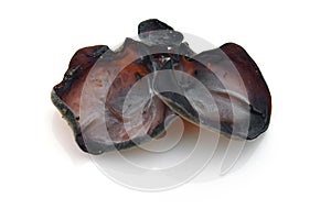 Auricularia auricula-judae mushroom