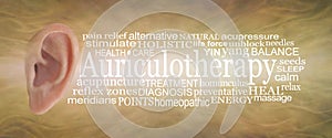 Auriculotherapy Word Tag Cloud banner