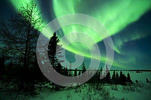 Aurora Borealis above Tundra