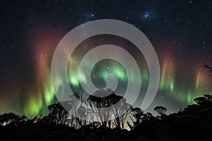 aurora borealis and australis dance across the night sky, with stars and moon in the background