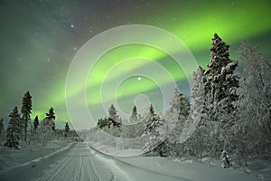 Aurora borealis in Finnish Lapland photo